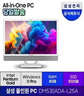 삼성전자 올인원 일체형 PC 프로스트 화이트 DM530ADA-L25A (펜티엄골드 7505 60.5cm WIN11 Pro) 기업용 사무용 학습용, 512GB, 8GB