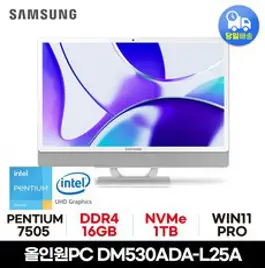 삼성 올인원PC DM530ADA-L25A 사무용 가정용 공간활용 일체형PC, WIN11 Pro, 1TB, 16GB