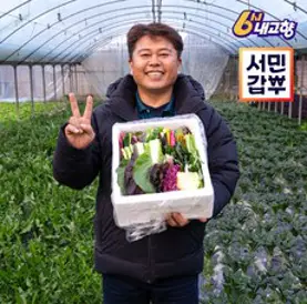 서민갑부 모듬채소 20종 양주농부 클로렐라 쌈채소 유러피안 샐러드 야채 600g-1.2kg, 클로렐라쌈채소 800g, 1박스