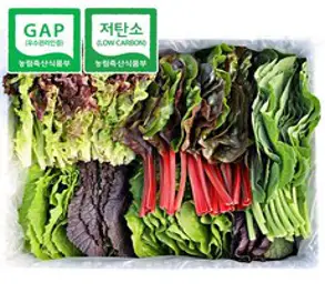 [청년프레쉬] 충북 충주 GAP 모듬 쌈채소 샐러드야채 600g 1kg 로메인 케일 양상추 치커리 적근대 적겨자, 모듬 쌈채소 600g, 1개